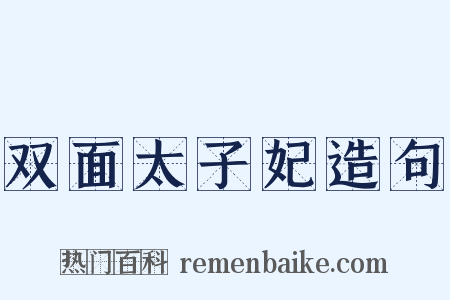 双面太子妃造句是什么意思的图片
